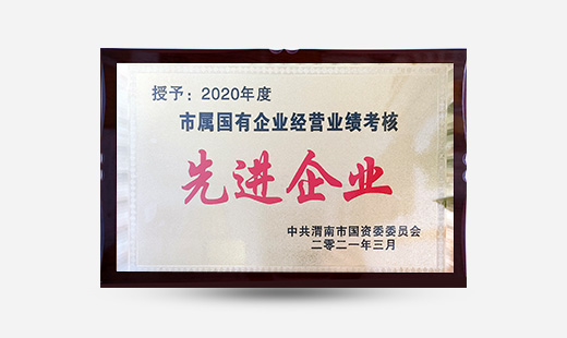 授予：2020年度市屬?lài)?guó)有企業(yè)經(jīng)營(yíng)業(yè)績(jī)考核先進(jìn)企業(yè)